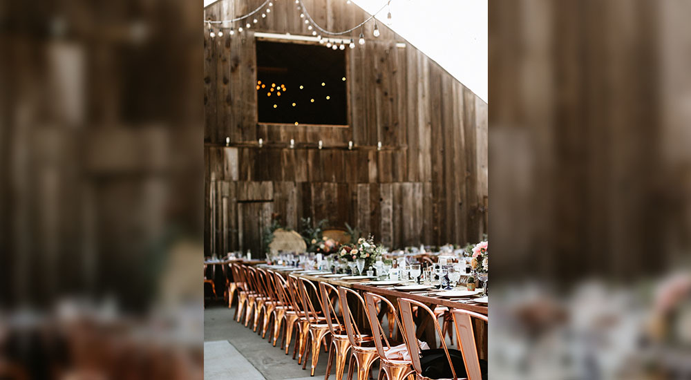Wedding Gallery - Bohemian Higuera Ranch: San Luis Obispo